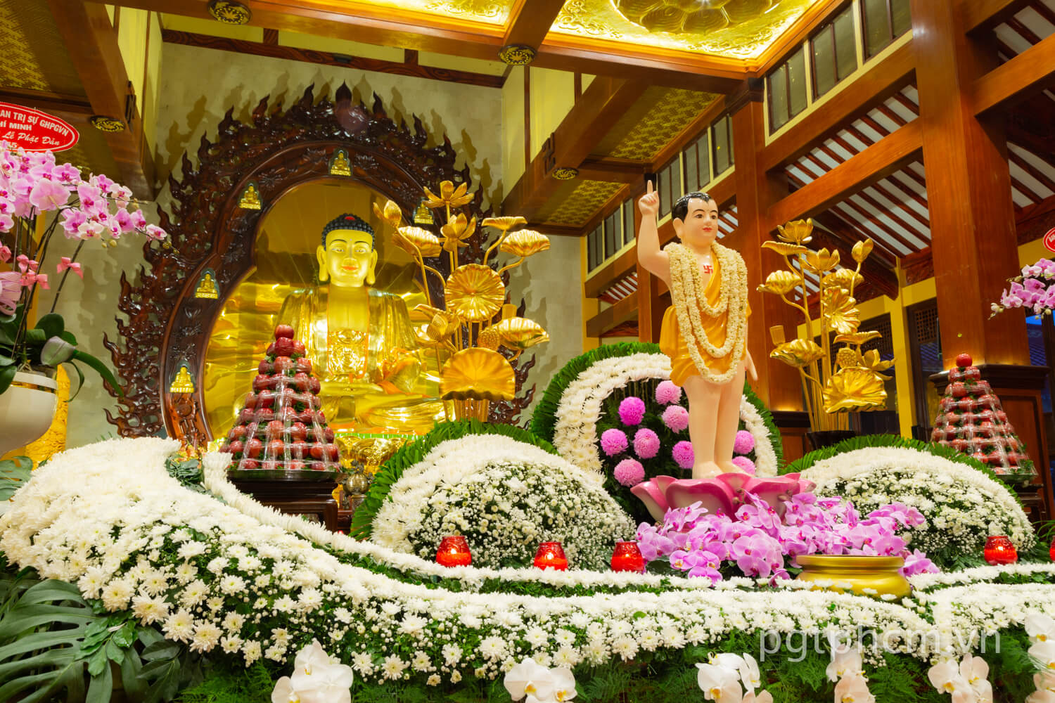 Ngày Phật Đản thường được tổ chức vào ngày rằm tháng 5  hàng năm.